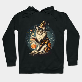 Maine Coon Wizard cat make love potion Hoodie